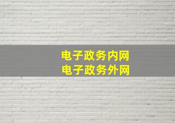 电子政务内网 电子政务外网